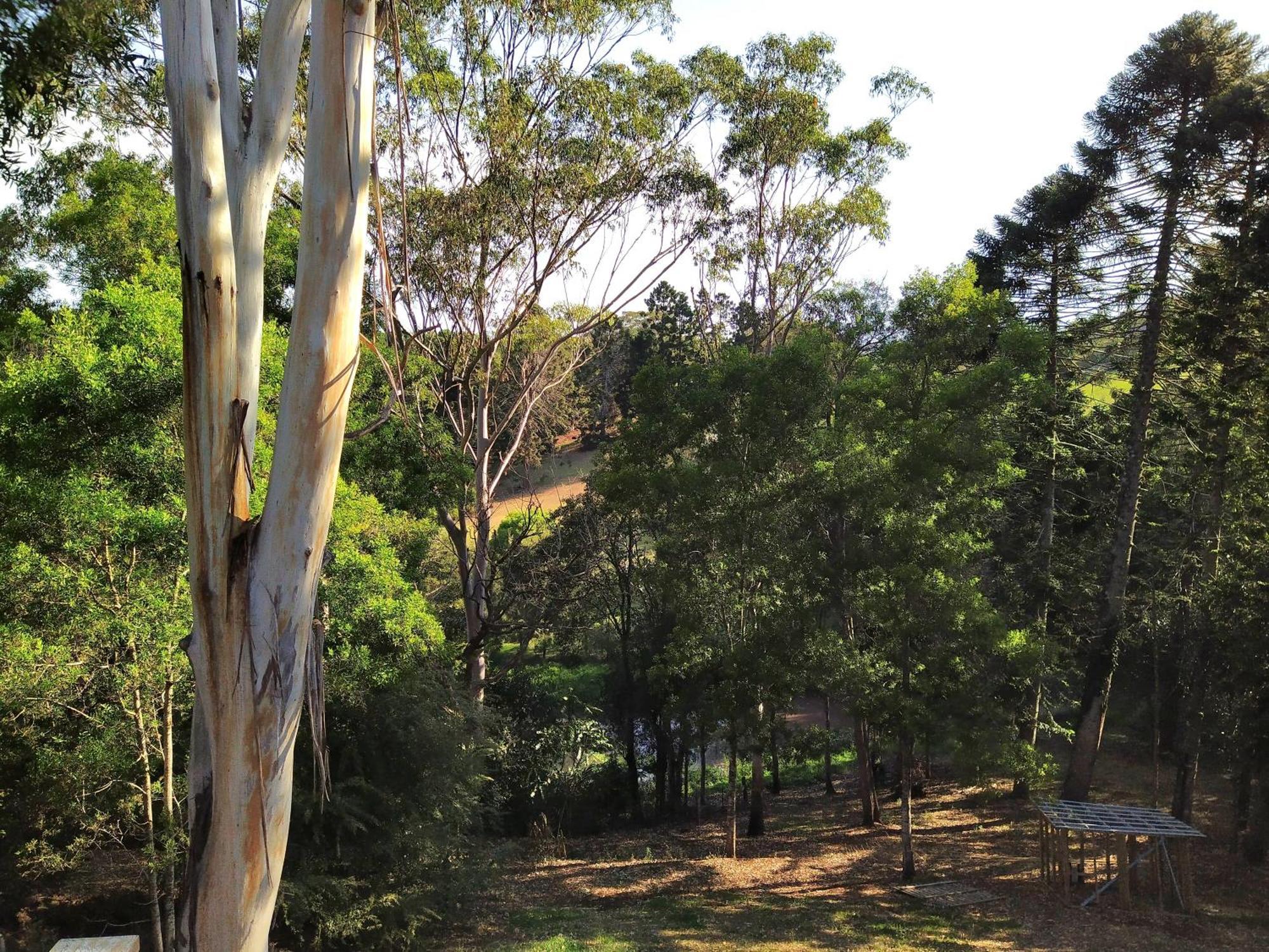 "On Burgum Pond" Cottages Maleny Exterior photo